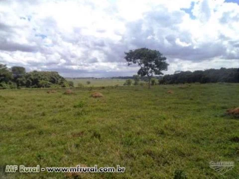 Fazenda de 26 alq.(126 ha.) no município de Nazário - Goiás
