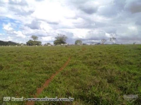 Fazenda de 26 alq.(126 ha.) no município de Nazário - Goiás