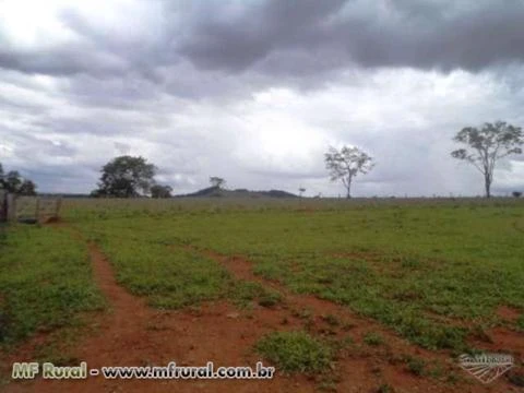 Fazenda de 26 alq.(126 ha.) no município de Nazário - Goiás