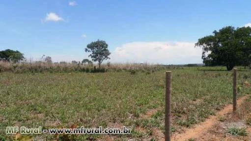 Fazenda de 232 alq. (1.123 ha.) Na regiao de Jussara -Go