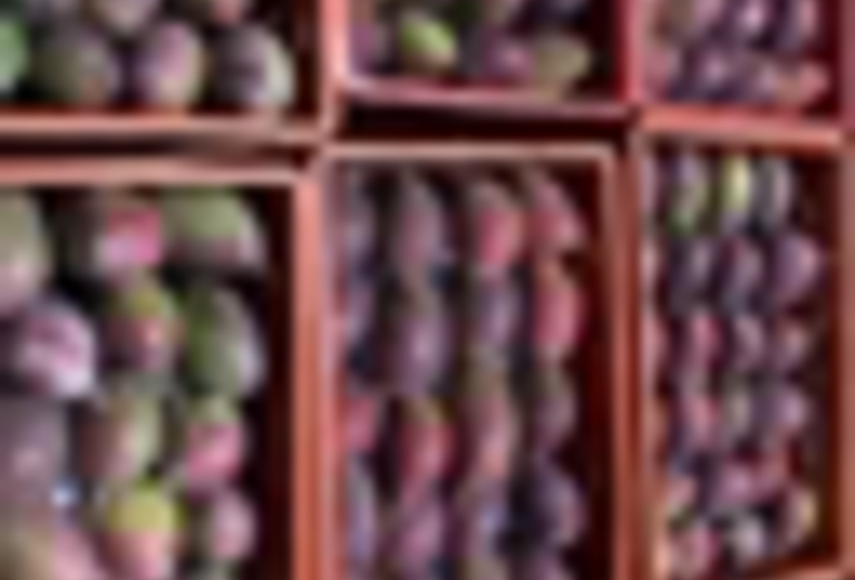 Vendo manga Imagem Vendo manga