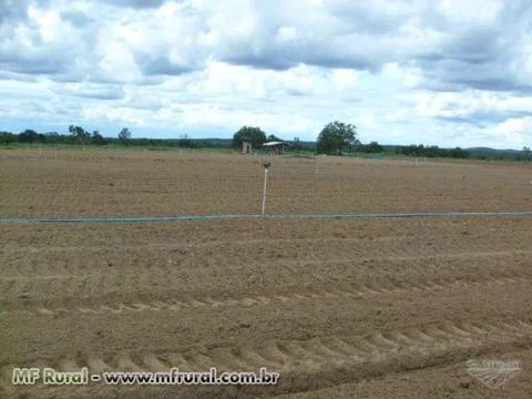 FAZENDA EM SÃO VALÉRIO TO, PARA SOJA, PECUÁRIA E REFLORESTAMENTO, RICA EM AGUA