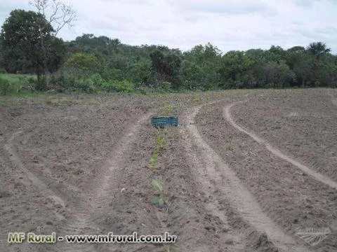 FAZENDA EM SÃO VALÉRIO TO, PARA SOJA, PECUÁRIA E REFLORESTAMENTO, RICA EM AGUA