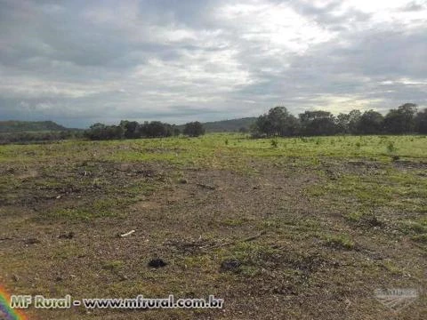 FAZENDA EM SÃO VALÉRIO TO GEL REFERENCIADA PRONTA PARA TRABALHAR