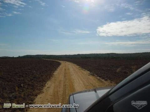 FAZENDA EM SÃO VALÉRIO TO GEL REFERENCIADA PRONTA PARA TRABALHAR