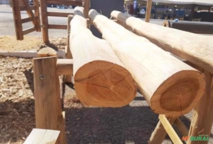 Imagem Madeira de Teca Imagem Madeira de Teca