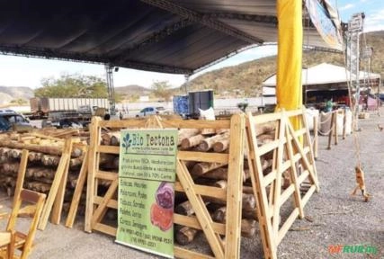 Imagem Madeira de Teca Imagem Madeira de Teca