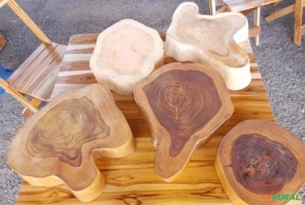 Imagem Madeira de Teca Imagem Madeira de Teca