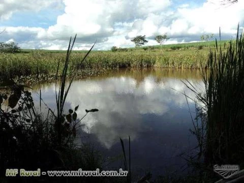 Fazenda 79 alq. na Rodovia com 60 alq. cana