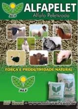 Alfafa peletizada, sacos 40kg Equinos, bovinos, avestruzes, caprinos, ovinos, suínos