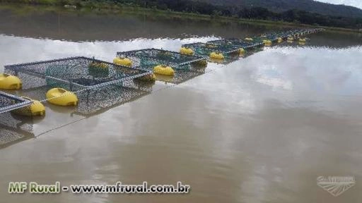 Imagem TANQUE REDE PARA PEIXES Imagem TANQUE REDE PARA PEIXES