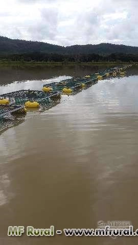 Imagem TANQUE REDE PARA PEIXES Imagem TANQUE REDE PARA PEIXES