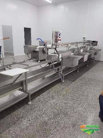 Abate de Peixes Imagem Abate de Peixes