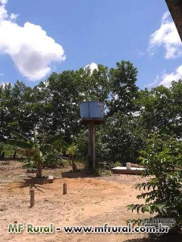 FAZENDA BARATISSIMA NO MT   DE  PECUARIA/LAVOURA