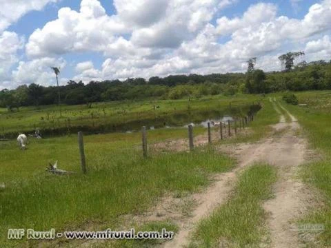 FAZENDA BARATISSIMA NO MT   DE  PECUARIA/LAVOURA