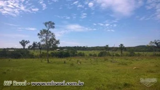 FAZENDA BARATISSIMA NO MT   DE  PECUARIA/LAVOURA