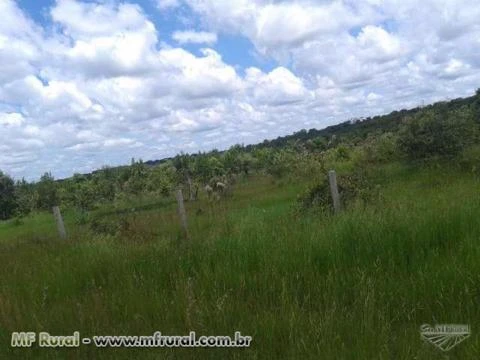 FAZENDA BARATISSIMA NO MT   DE  PECUARIA/LAVOURA