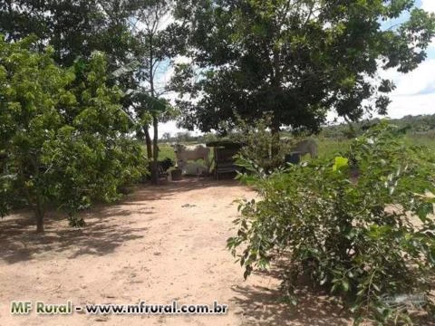 FAZENDA BARATISSIMA NO MT   DE  PECUARIA/LAVOURA