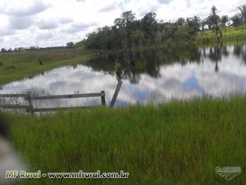 FAZENDA BARATISSIMA NO MT   DE  PECUARIA/LAVOURA