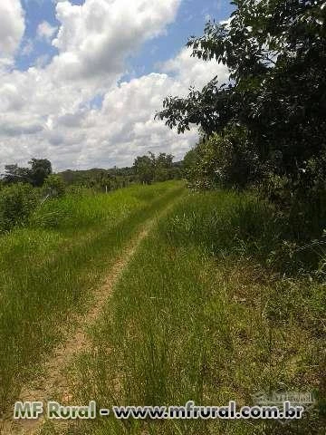 FAZENDA BARATISSIMA NO MT   DE  PECUARIA/LAVOURA