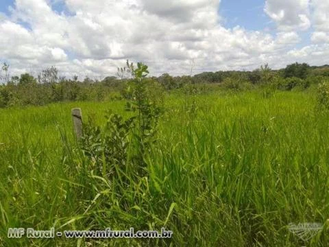 FAZENDA BARATISSIMA NO MT   DE  PECUARIA/LAVOURA