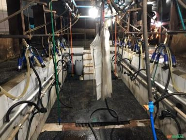 ORDENHA ALFALAVAL Imagem ORDENHA ALFALAVAL