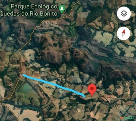 Imagem FLORESTA DE EUCALIPTO Imagem FLORESTA DE EUCALIPTO