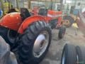 Trator Massey Ferguson MF 235 Imagem Trator Massey Ferguson MF 235