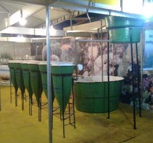 Depoimento de anúncio vendido Depoimento de anúncio vendido
