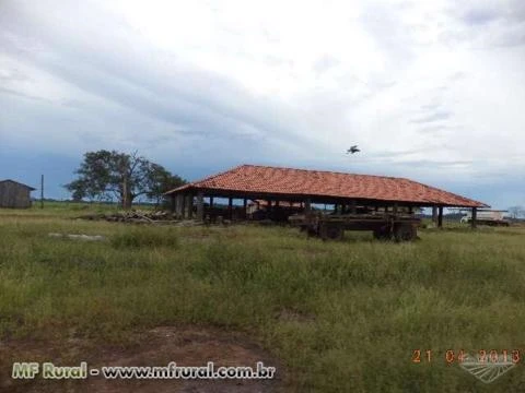Fazenda no Pará