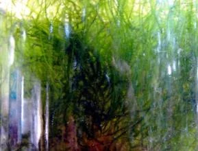 Musgo   TAXIPHYLLUM ALTERNANS - wall moss