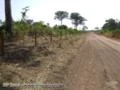 Fazenda à venda no município de Araguaiana