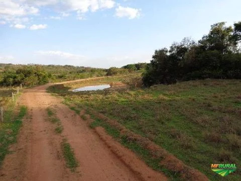 FAZENDA UBERABA-MG (BR050)