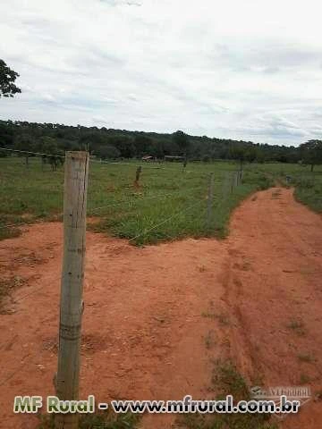 FAZENDA BARRO BRANCO