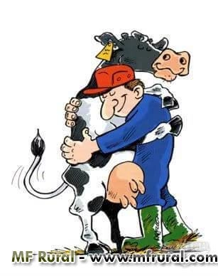 Médico Veterinário com Especialização Imagem Médico Veterinário com Especialização