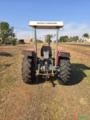 Trator Massey Ferguson 275 Imagem Trator Massey Ferguson 275