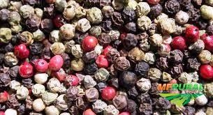 Imagem PIMENTA DO REINO B1 (PRETA) Imagem PIMENTA DO REINO B1 (PRETA)