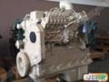 MOTORES CUMMINS SÉRIE B e C - RETIFICADOS SEM USO. Imagem MOTORES CUMMINS SÉRIE B e C - RETIFICADOS SEM USO.