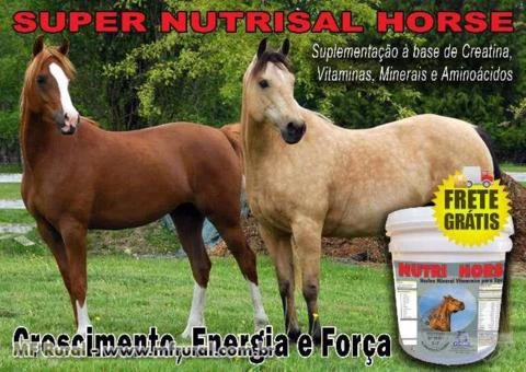 NUTRI HORSE - SUPER FORÇA - SEU CAVALO TURBINADO