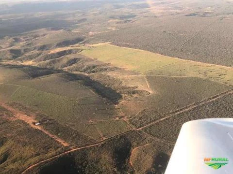 Fazenda