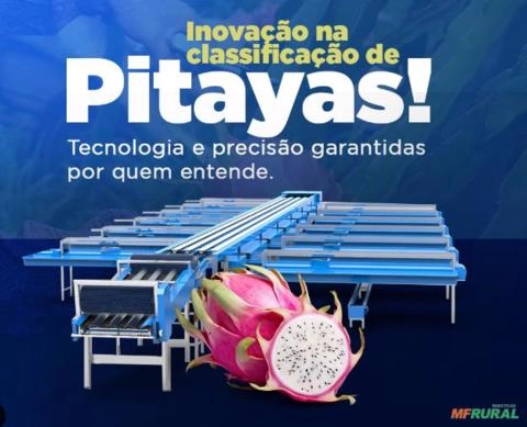 MÁQUINA DE LIMPEZA, SANETIZAÇÃO E CLASSIFICAÇÃO DE PITAYA Imagem MÁQUINA DE LIMPEZA, SANETIZAÇÃO E CLASSIFICAÇÃO DE PITAYA