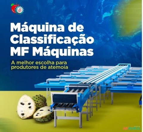 MÁQUINA PARA A LIMPEZA, SANITIZAÇÃO E CLASSIFICAÇÃO DE ATEMOIA Imagem MÁQUINA PARA A LIMPEZA, SANITIZAÇÃO E CLASSIFICAÇÃO DE ATEMOIA