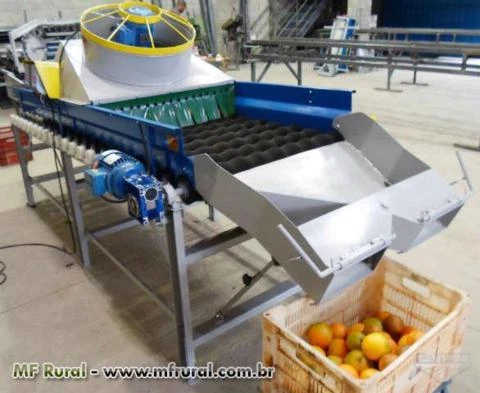 Máquinas para Beneficiamento de Frutas e Legumes em geral