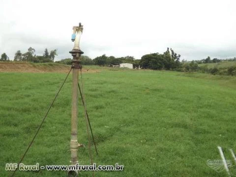 FENO DE CAPIM VAQUERO