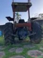 Trator Massey Ferguson 295 4x2 ano 89