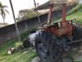 Trator Massey Ferguson 295 4x2 ano 89