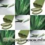 Babosa Barbadensis Miller (Aloe Vera) Mudas ,Plantas adultas, Folhas avulsas