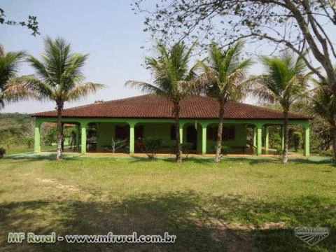 FAZENDA NO VALE DO RIBEIRA