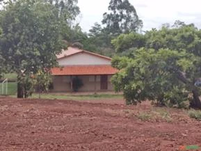 Fazenda no Estado do Tocantins