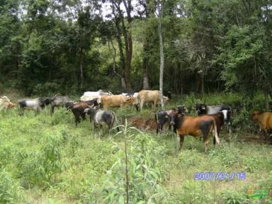 Propriedade Rural